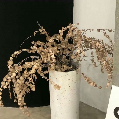 Furry插画风格打造福瑞群